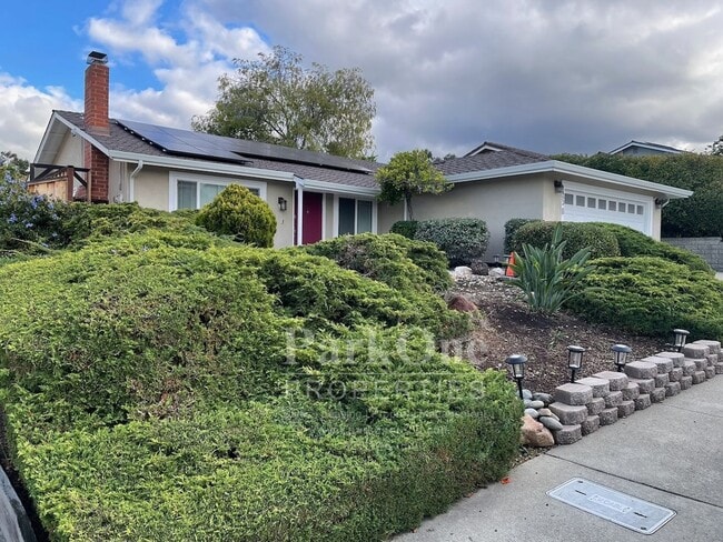 4493 Adelia Ct in Concord, CA - Building Photo - Building Photo