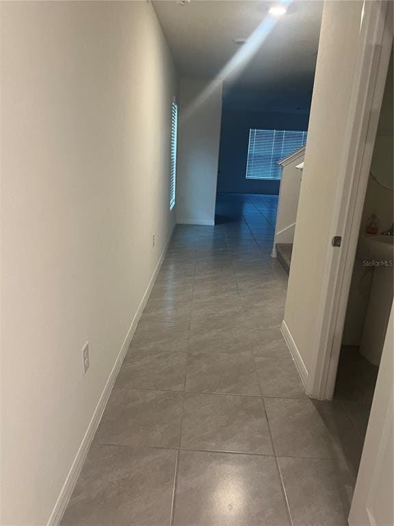 35288 Spruce Knob Ct in Dade City, FL - Building Photo - Building Photo