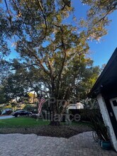 4044 Tenita Dr in Winter Park, FL - Building Photo - Building Photo