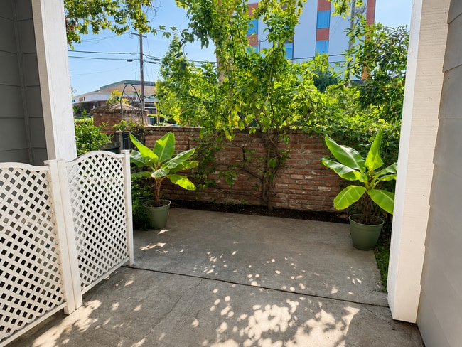 property at 902 Sunrose Ter