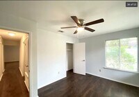 7705 Forest Fern photo'