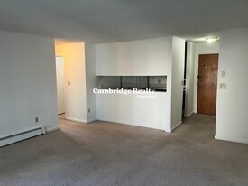 42 Belmont St in Somerville, MA - Building Photo