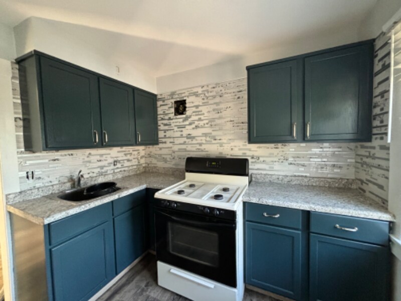 438 Villa St in Elgin, IL - Building Photo