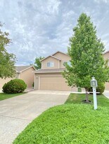 3645 Wild Horse Ct in Loveland, CO - Building Photo