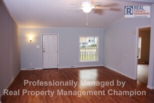 811 Red Lighthouse Ln in Wilmington, NC - Building Photo