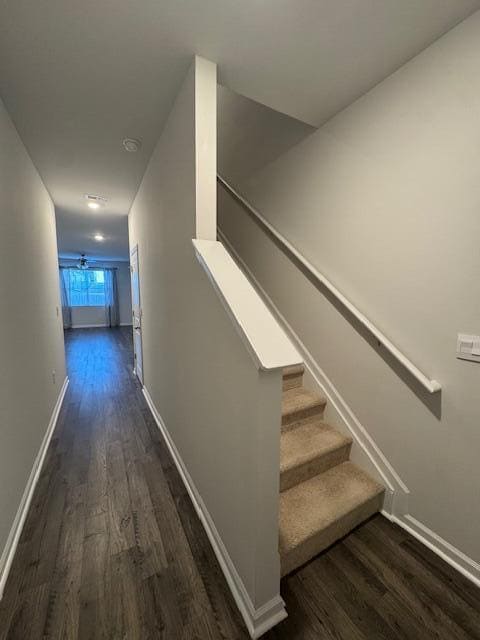 319 Bisham Ct in Aiken, SC - Building Photo - Building Photo