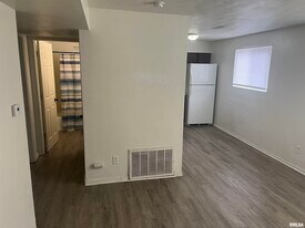 227 W Elm St in Chillicothe, IL - Building Photo