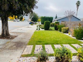 5969 Cahalan Ave in San Jose, CA - Building Photo