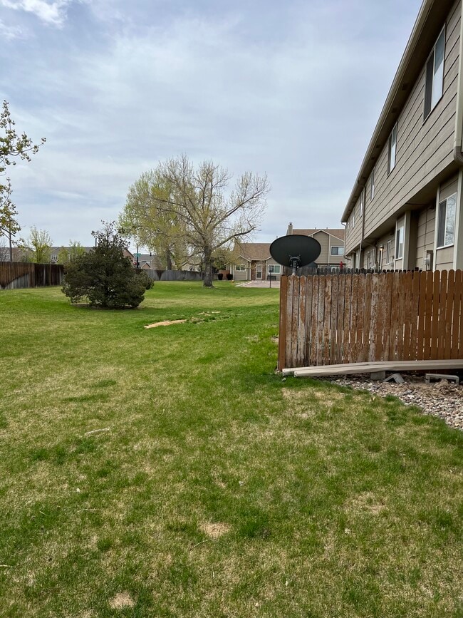 4797 Live Oak Dr in Colorado Springs, CO - Building Photo - Building Photo