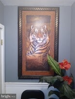 800 E Jeffrey St, Unit Apt 1 in Baltimore, MD - Building Photo