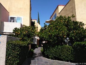 18600 Collins St in Tarzana, CA - Building Photo - Building Photo