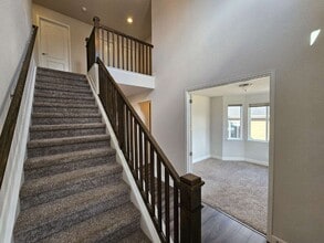 1385 Castle Creek Cir in Castle Rock, CO - Building Photo - Building Photo