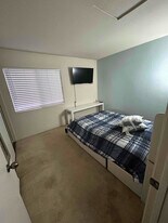 23604 Tarara Dr in Moreno Valley, CA - Building Photo