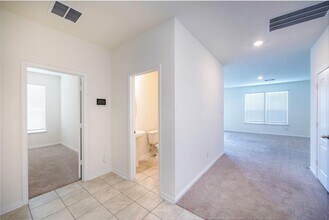 702 Hardwood Grv Ct in Houston, TX - Building Photo - Building Photo