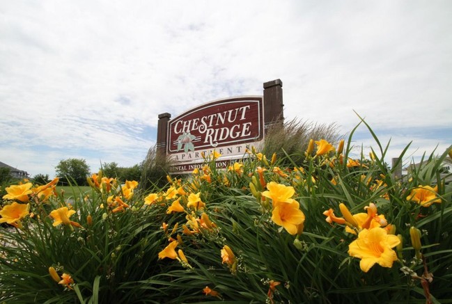 Chestnut Ridge Apartments in Delavan, WI - Foto de edificio - Building Photo