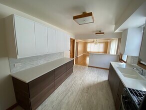 1248 W Race Ave in Chicago, IL - Building Photo - Building Photo