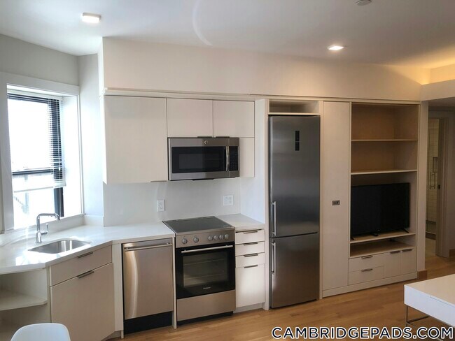 115 Mt Auburn St in Cambridge, MA - Building Photo - Building Photo