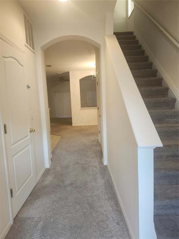 1043 Andrew Aviles Cir in Tampa, FL - Building Photo - Building Photo