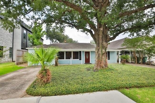 1308 Story St in Houston, TX - Building Photo - Building Photo