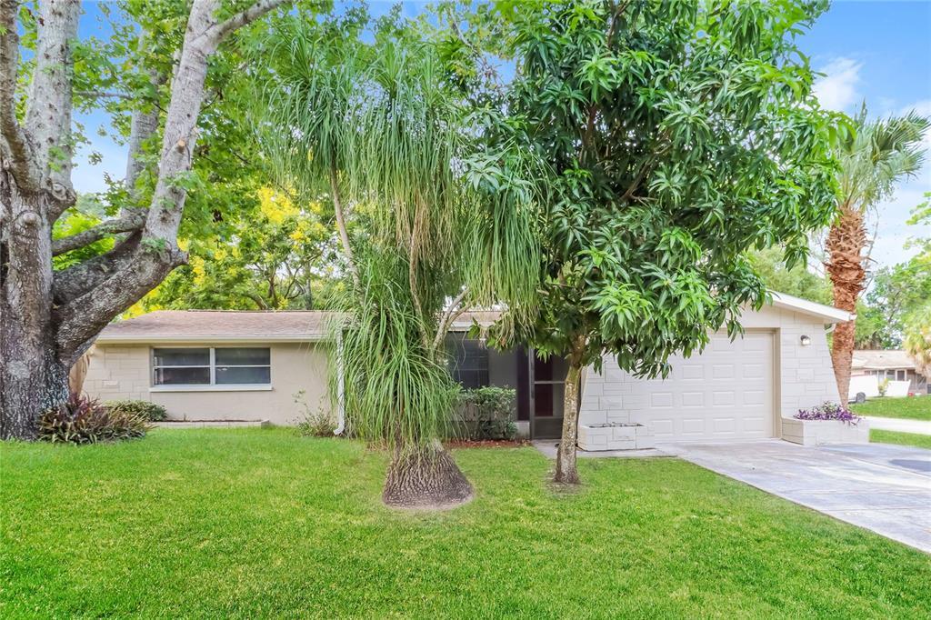 6255 Maplewood Dr in New Port Richey, FL - Building Photo