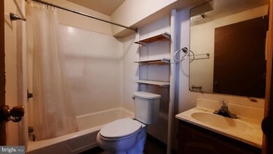 217 S Main St in Woodstock, VA - Building Photo - Building Photo