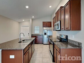 10026 RoseMary Leaf Ln in Riverview, FL - Building Photo - Building Photo