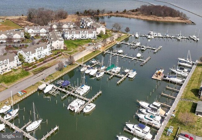 907 Auckland Way in Chester, MD - Building Photo - Building Photo