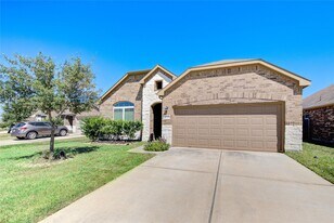 23022 Silver Linden Ct in Tomball, TX - Building Photo