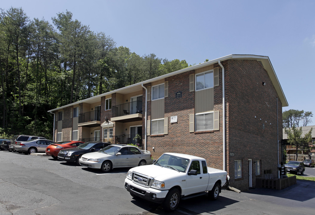 909 Teaberry Ln in Knoxville, TN - Foto de edificio