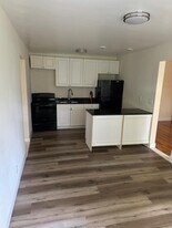 32 Starr Ave, Unit 3 in Monticello, NY - Building Photo