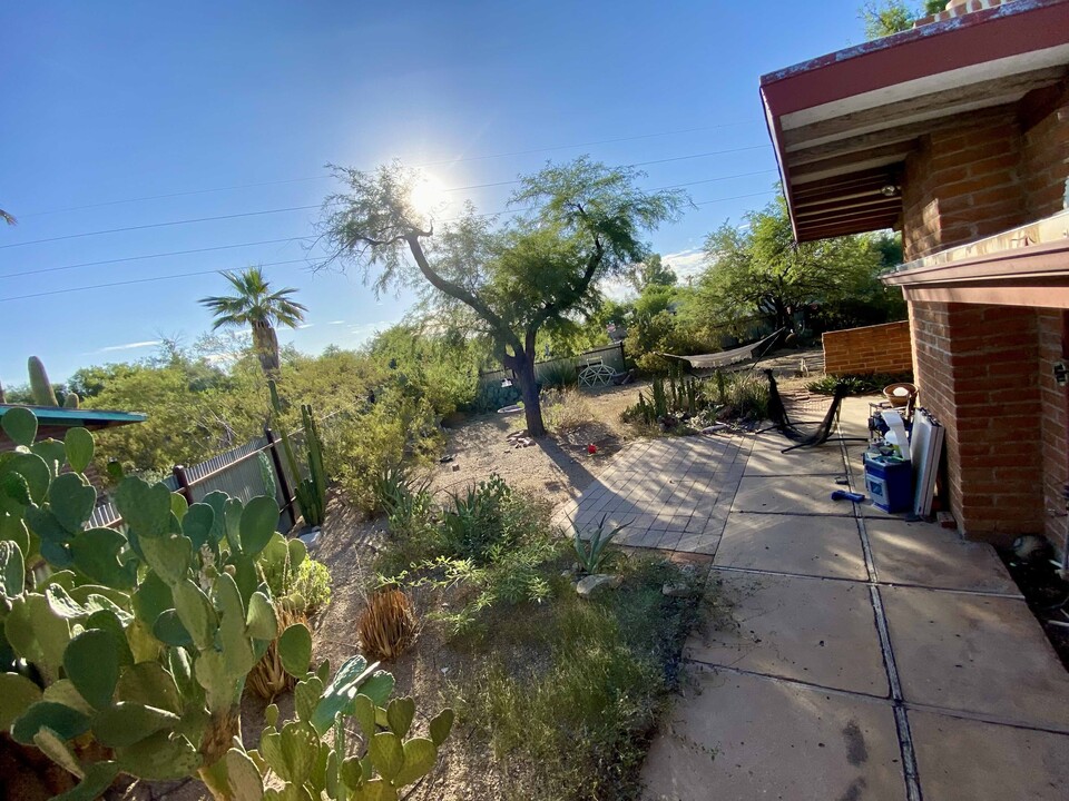 3401 N Mountain Ave in Tucson, AZ - Foto de edificio