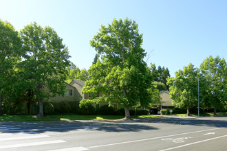 Park Place Apartments in Santa Rosa, CA - Building Photo - Building Photo