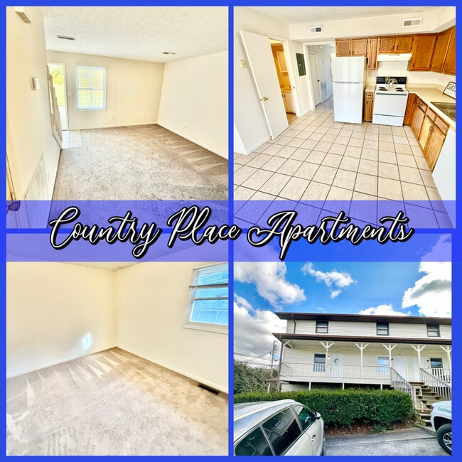 property at 342 Old Gray Station Rd