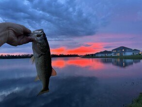3049 Ella Wy in St. Cloud, FL - Building Photo - Building Photo