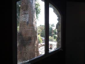 28831 Shady Ln in Laguna Beach, CA - Building Photo - Building Photo