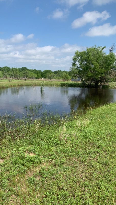 7338 SE County Rd 3050 in Corsicana, TX - Building Photo - Building Photo