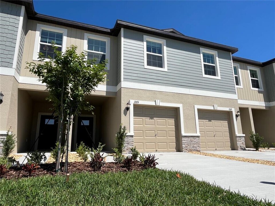 17651 Nectar Flume Dr in Land O Lakes, FL - Building Photo