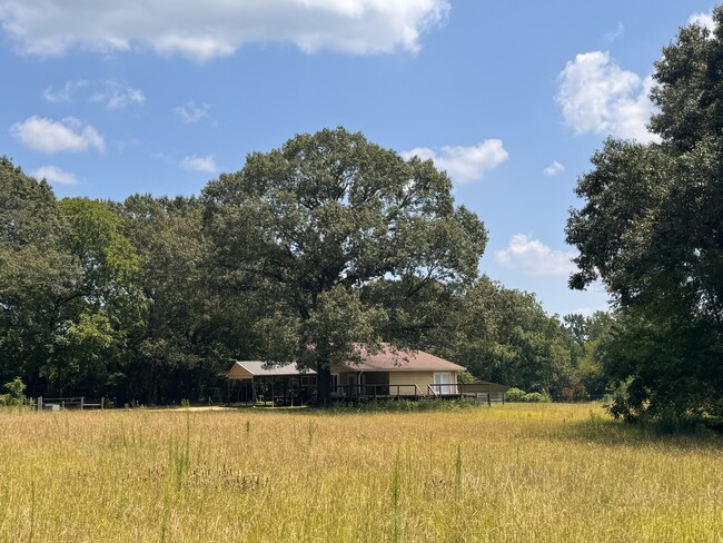 3385 FM1795 in Gilmer, TX - Building Photo - Building Photo