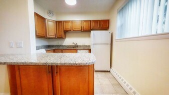 91 Stedman St, Unit 21 in Brookline, MA - Building Photo