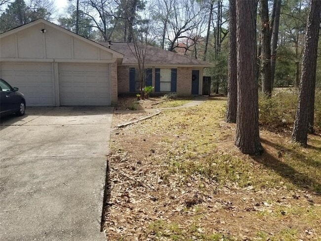 2 E White Willow Cir in Spring, TX - Foto de edificio - Building Photo