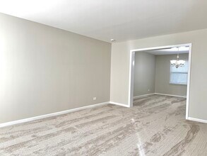 1209 W Bauer Rd in Naperville, IL - Building Photo - Building Photo