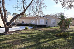 4732 W Lawn Ave in Tampa, FL - Building Photo