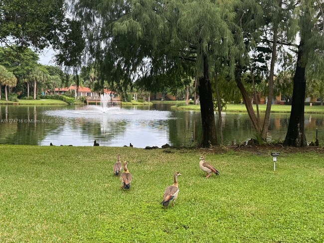 10733 Cleary Blvd in Plantation, FL - Building Photo - Building Photo