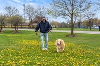 Apartments in Vernon Hills, IL