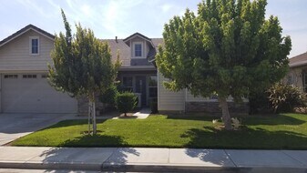 743 Black Mountain Ln in Newman, CA - Building Photo