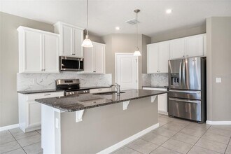 334 Winter Bliss Ln in Mount Dora, FL - Foto de edificio - Building Photo