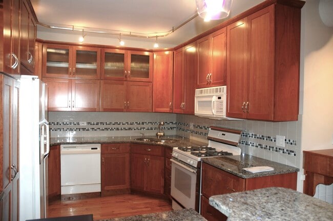 525 N Ada St, Unit 47 in Chicago, IL - Building Photo - Building Photo