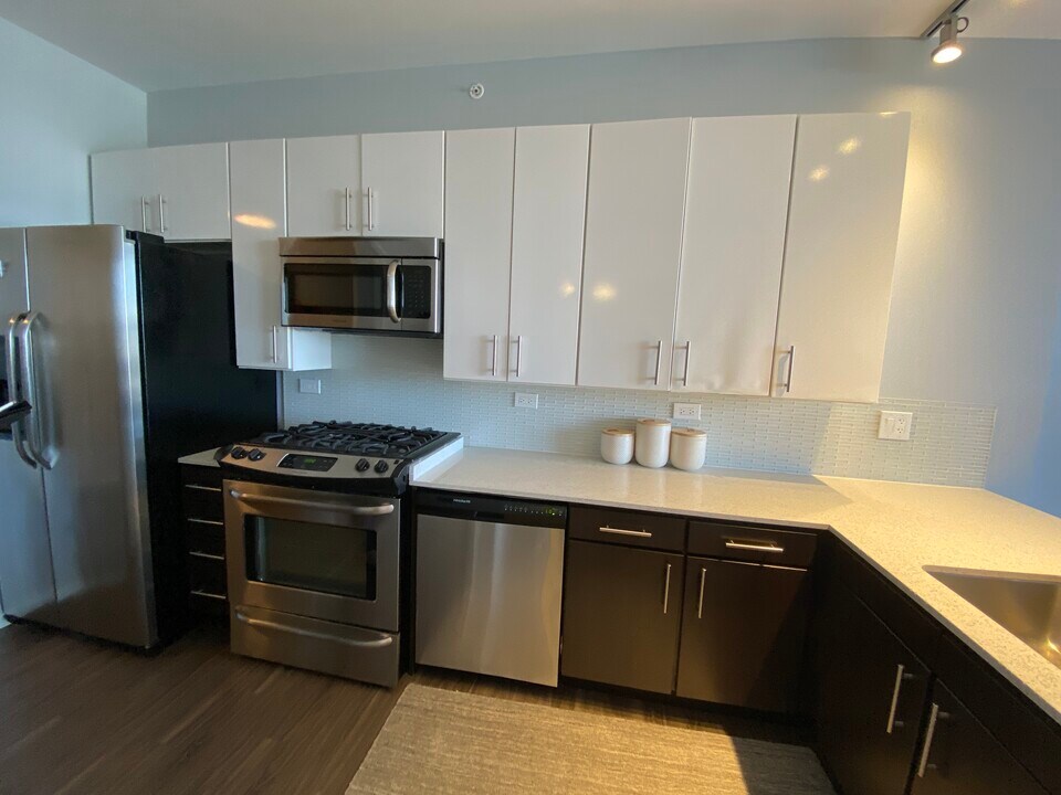 207 S Desplaines St in Chicago, IL - Building Photo