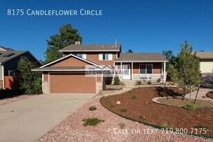 8175 Candleflower Cir in Colorado Springs, CO - Building Photo