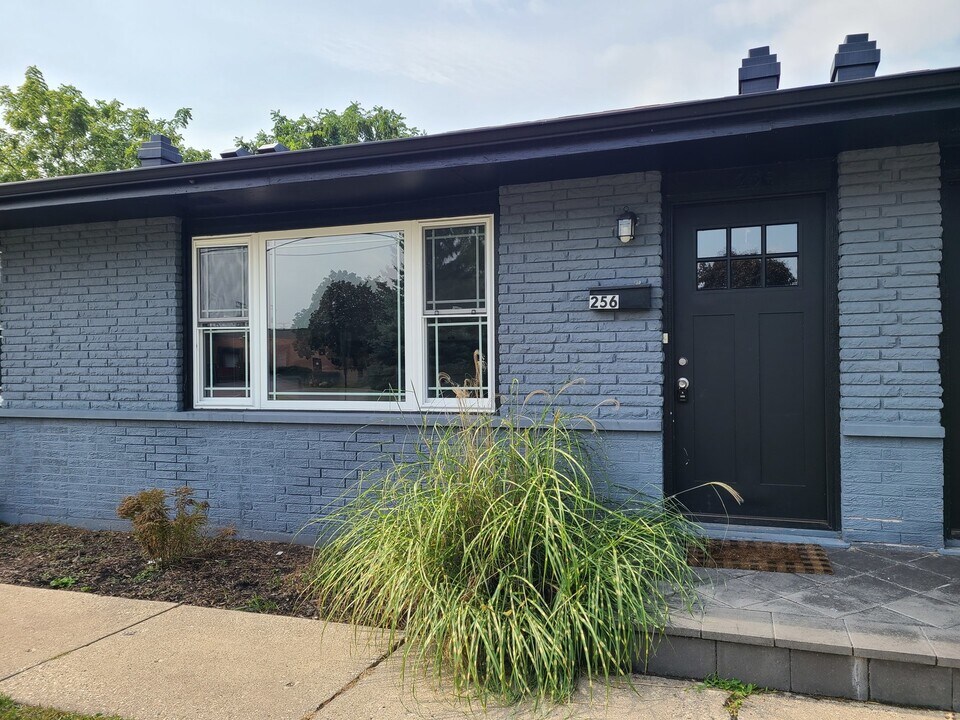 256 N Slusser St in Grayslake, IL - Building Photo